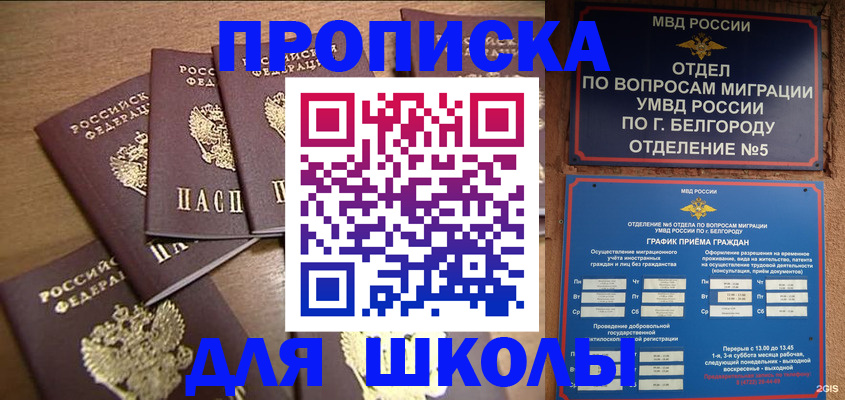 прописка гарантия в Райчихинске